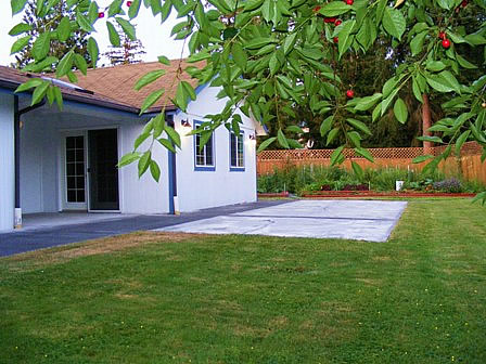 Back with Garden